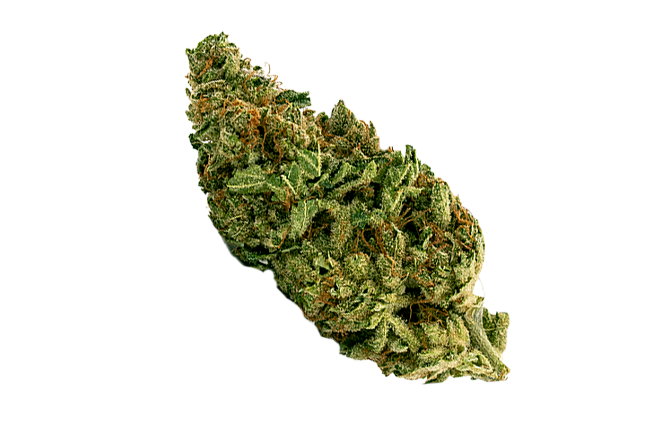cannabis bud