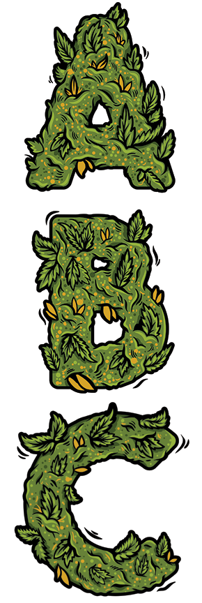 ABC letters illustrated in marijuana leaves