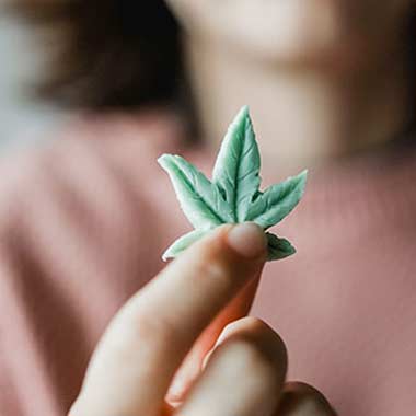 Woman holding cannabis edible in the shape of cannabis leaf