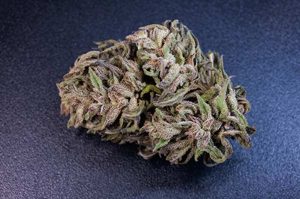 upclose of a cannabis flower bud